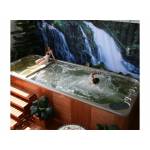 Плавательный Спа Бассейн SPA-8068