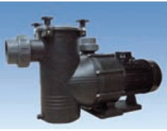 Самовсасывающий насос “BIG DISCOVERY” Артикул: DY-550-T