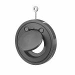 Обратный клапан межфланцевый EFFAST d225mm (CDPCKD2250) Обратный клапан межфланцевый EFFAST d225mm (CDPCKD2250)