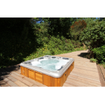 Спа бассейн Hydropool Self-Cleaning 495