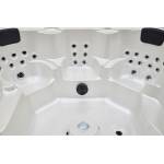 Гидромассажный спа бассейн WS-194D