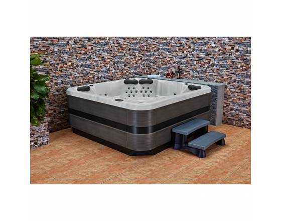 SPA-бассейн WS-598S