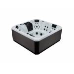 СПА-бассейн WS-693