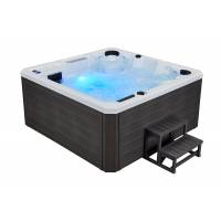 СПА-бассейн WS-S01